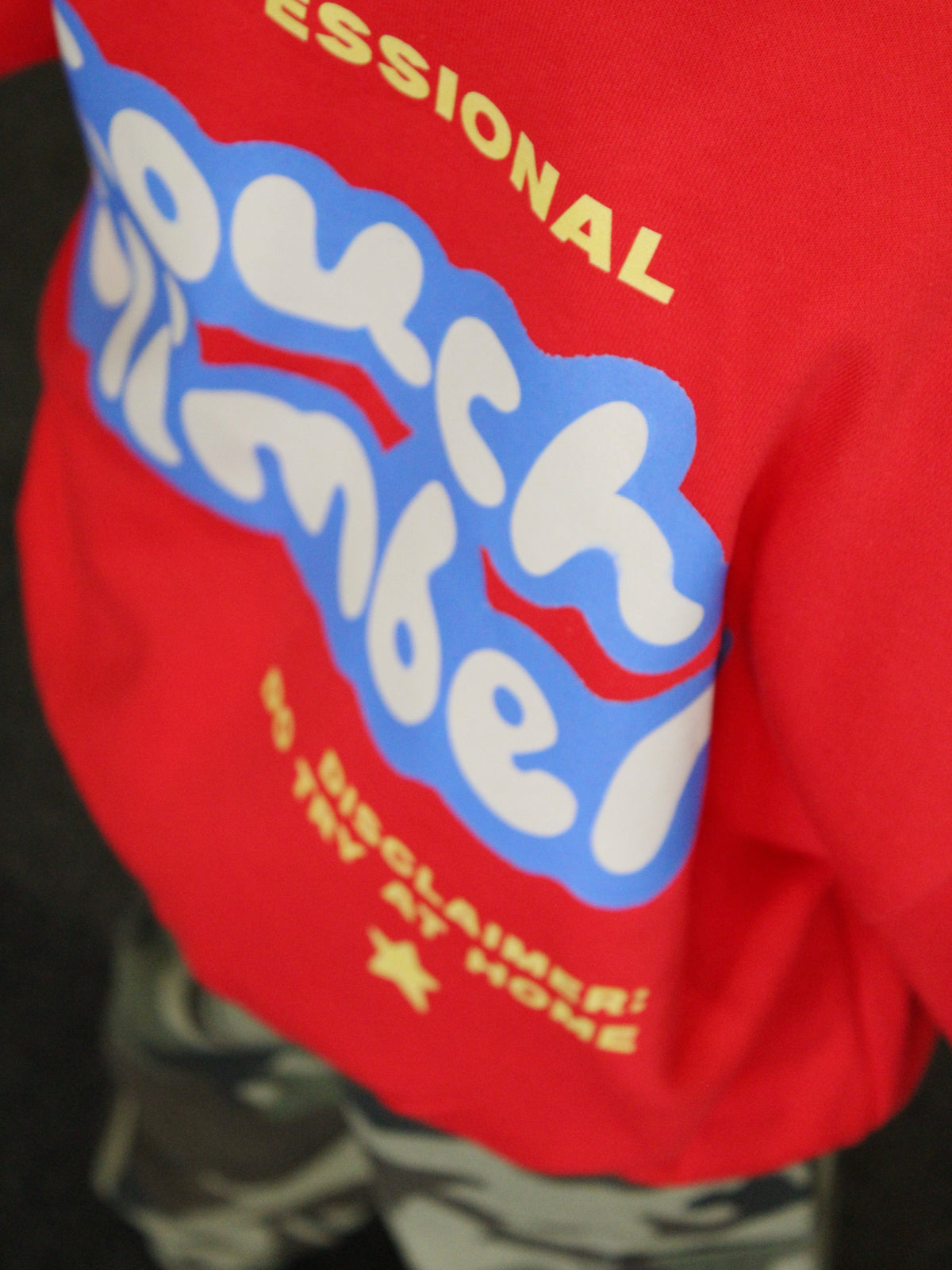 RESTOCKING 17.10.26 Couch Climber | Children's Graphic Sweatshirt