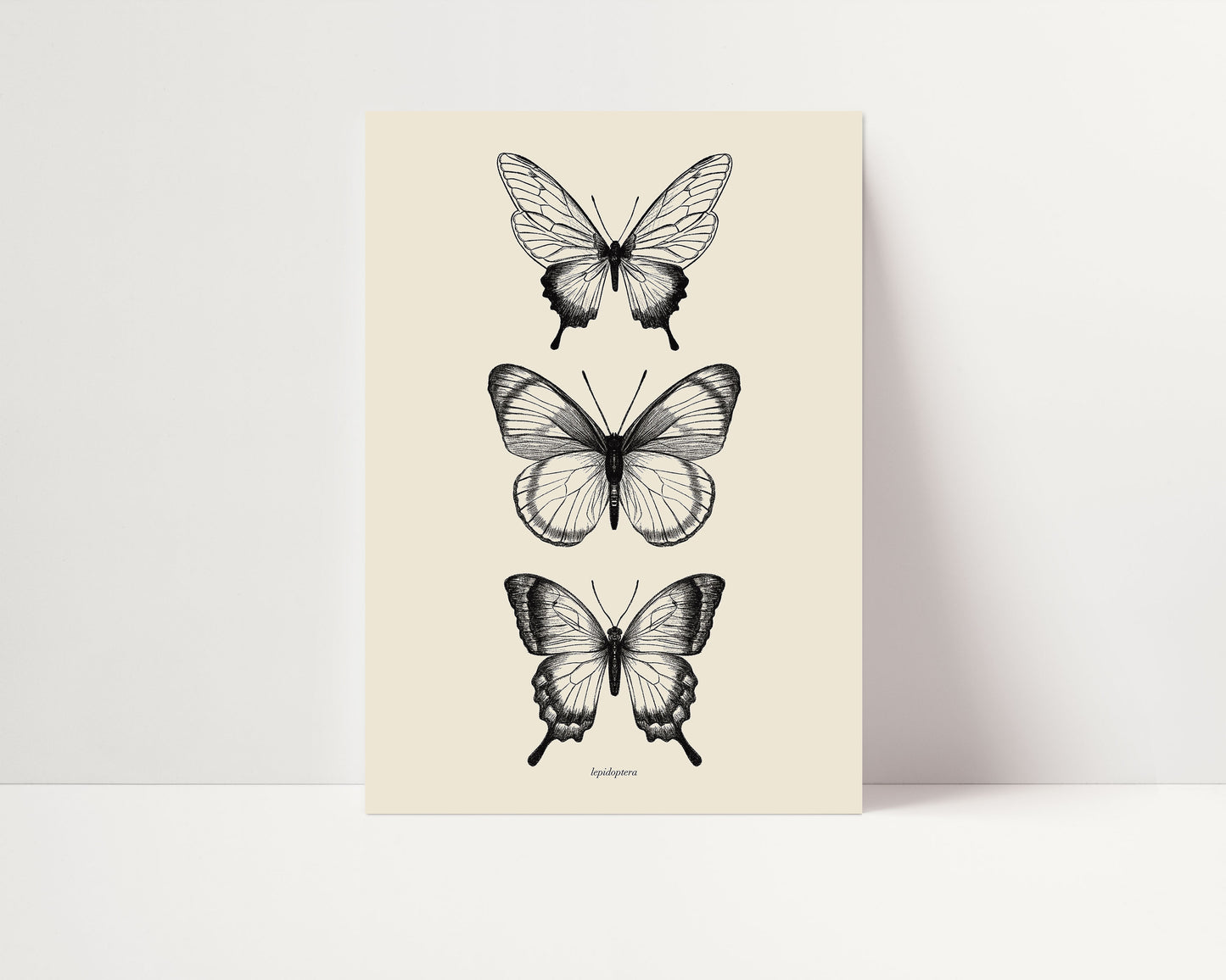 Lepidoptera | Butterflies Print | UNFRAMED